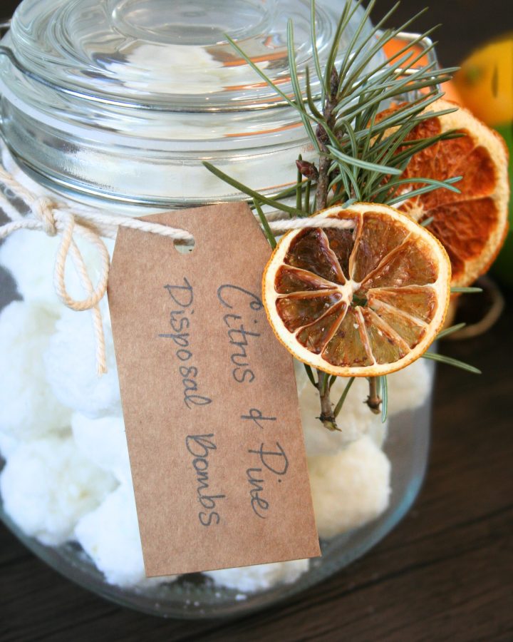 garbage disposal bombs inside of a glass jar with dehydrated fruit and twine around jar
