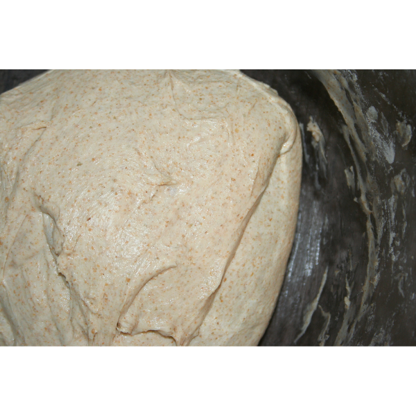 close up of bread dough