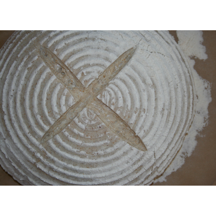 close up of proofed bread dough
