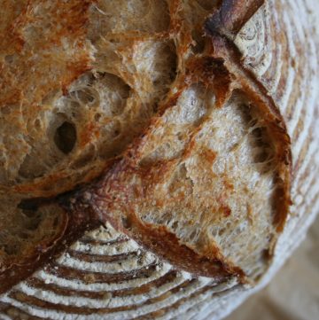 close up of baked rustic sourdough bread